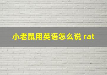 小老鼠用英语怎么说 rat